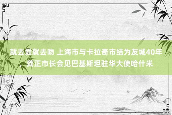 就去爱就去吻 上海市与卡拉奇市结为友城40年，龚正市长会见巴基斯坦驻华大使哈什米