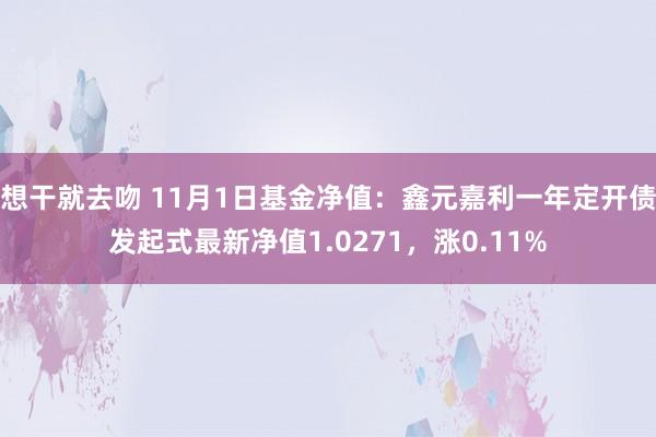 想干就去吻 11月1日基金净值：鑫元嘉利一年定开债发起式最新净值1.0271，涨0.11%