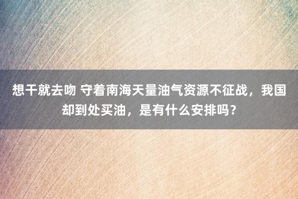 想干就去吻 守着南海天量油气资源不征战，我国却到处买油，是有什么安排吗？