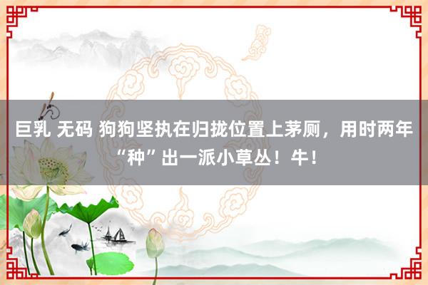 巨乳 无码 狗狗坚执在归拢位置上茅厕，用时两年“种”出一派小草丛！牛！