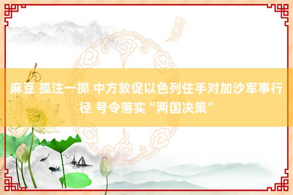 麻豆 孤注一掷 中方敦促以色列住手对加沙军事行径 号令落实“两国决策”