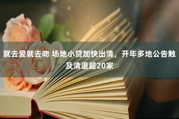 就去爱就去吻 场地小贷加快出清，开年多地公告触及清退超20家