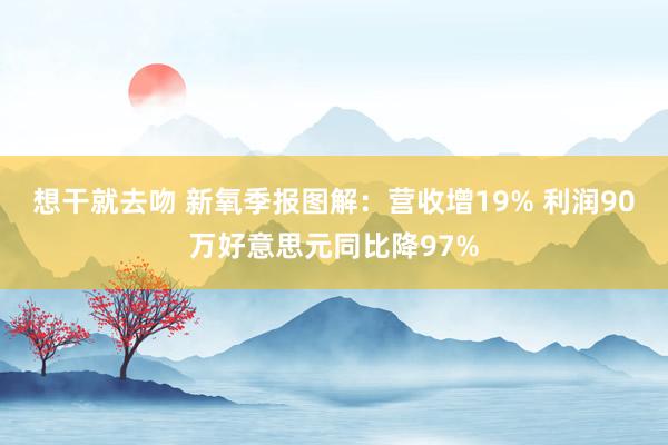想干就去吻 新氧季报图解：营收增19% 利润90万好意思元同比降97%
